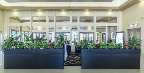Alexis Park All Suite Resort image 1