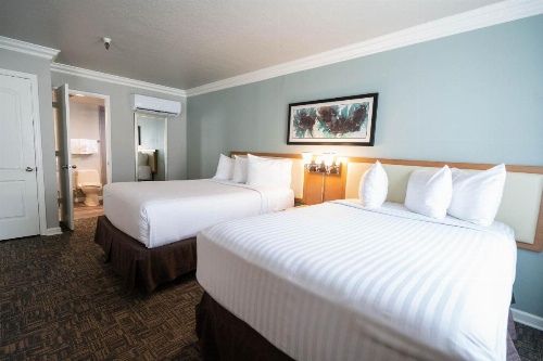 Alexis Park All Suite Resort image 33